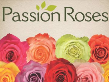 Win a Dozen PassionRoses