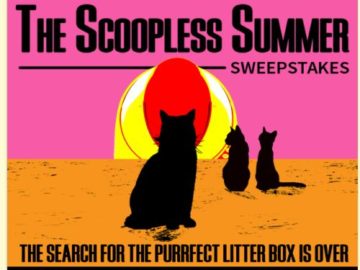 Scoopless Summer Sweepstakes