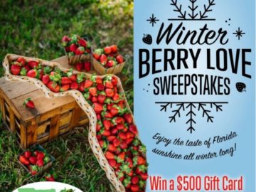 Winter Berry Love Sweesptakes