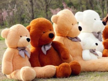 Win a Vermont Teddy Bear!