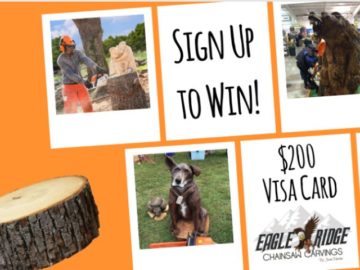 Eagle Ridge Chainsaw Carvings Visa Gift Card Giveaway