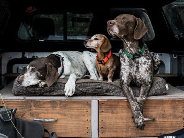 Orvis Dog Bundle Sweepstakes