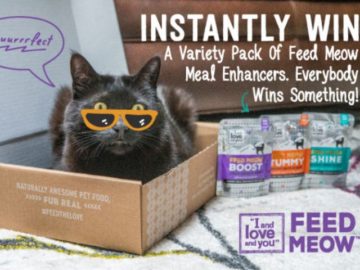 I and Love and You Feed Meow Instant Win Giveaway