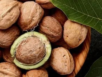 California Walnuts Golden Walnut Sweepstakes (Photo Upload)