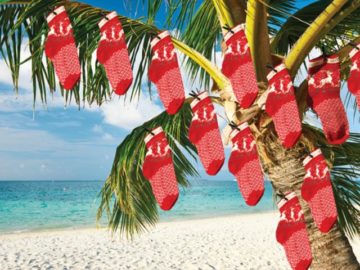 Salt Life 12 Days of Holiday Giveaway