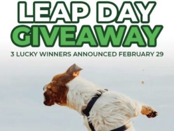 Doggie Dailies Leap Day Giveaway