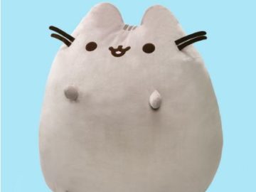 10th Anniversary Pusheen Sweepstakes