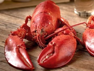 Get Maine Lobster Trip Giveaway