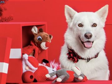 The PetSmart Holiday Pet Hut Sweepstakes