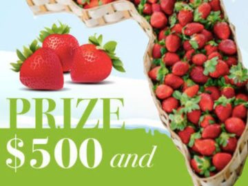 Farm Star Living $500 & Florida Strawberry Sweepstakes