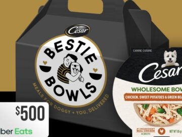 Cesar Wholesome Bowls#BestieBowls Giveaway (Photo)