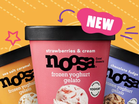 Noosa Gelato Ultimate Recess Sweepstakes