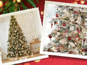 Kelly & Ryan Balsam Hill Holiday Decorations Sweepstakes (Photo)