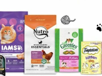 KittenWise Kit & Toy Instant Win Game