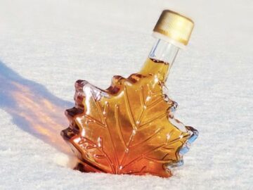 Canadian Crash Course Sweepstakes