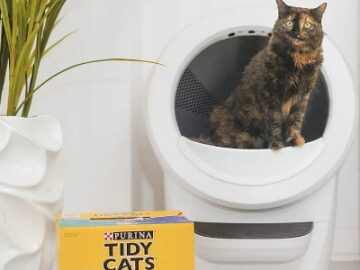 Whisker x Tidy Cat Giveaway
