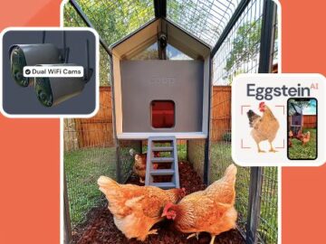 Ellen’s Smart Coop Sweepstakes