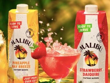 Malibu Rum 100 Days of Summer Sweepstakes