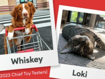 PetSmart Chief Toy Tester Contest (Pet Photo and Video)