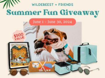 Wildebeest + Friends Summer Fun Giveaway