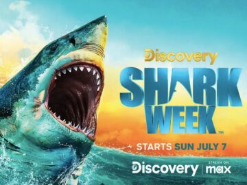 Valpak Shark Week Sweepstakes