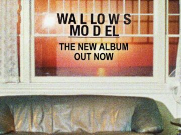 Spotify Wallows ‘Model’ Flyaway Sweepstakes