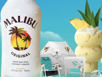 Pernod Ricard USA Malibu Rum Slice of Summer Sweepstakes