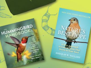 Hachette Backyard Biodiversity Sweepstakes