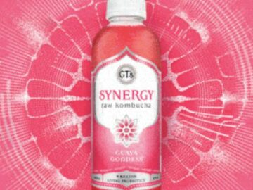 Feel the Synergy Music Campaign Sweepstakes