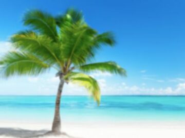 Tree Top Summer Sweepstakes