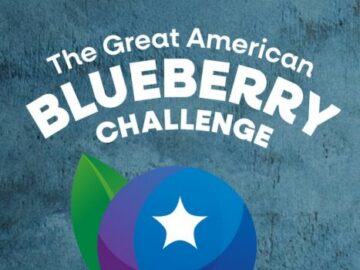 The Great American Blueberry Challenge (Instagram)