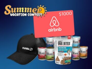 Fluval Summer Vacation Contest