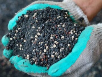Black Gold Year of the Pea Giveaway