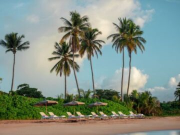 Frontier Airlines Wyndham Palmas Sweepstakes