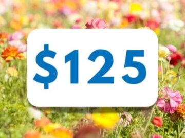 Just A Pinch Spring Forward Sweepstakes