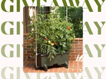 EarthBox Tomato Bundle Giveaway