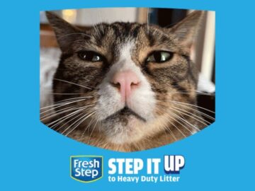 Fresh Step Heavy Duty Contest (Instagram Video)