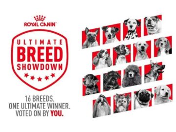 Royal Canin Ultimate Breed Showdown Bracket Sweepstakes
