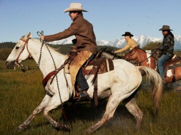 Stetson Email Sign Up Sweepstakes