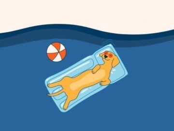 Spot Dream Pet/Parent Getaway Sweepstakes
