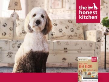 The Honest Kitchen Give Them The Best Sweepstakes - Pet Photo