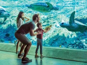 Visit Orlando Family Vacation Sweepstakes