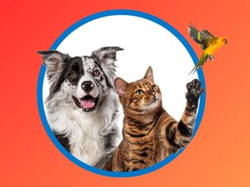 Arm & Hammer Best Friends Pet Photo Contest