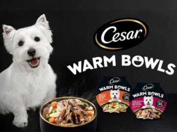 Cesar Spin Sweepstakes -  Video Submission / TikTok