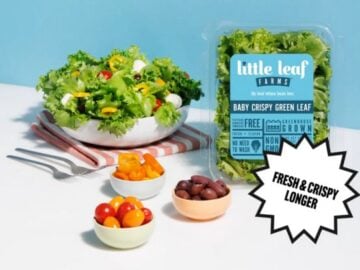 Little Leaf Farms Lettuce Confessions Sweepstakes