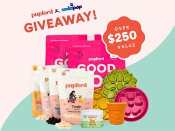 Pupford X Sodapup Pup Picnic Giveaway