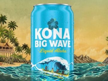 Stick Figure x Kona Big Wave 2025 Summer Tour Sweepstakes