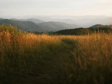 WildSam Western Carolina Giveaway
