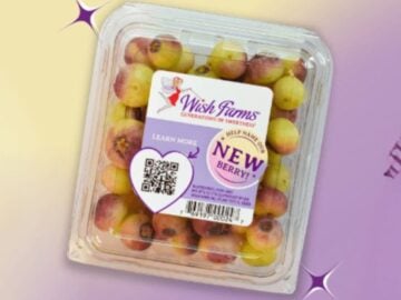 Wish Farms Name Our Berry Sweepstakes