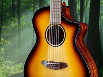 zZounds Breedlove 12-String Guitar Giveaway